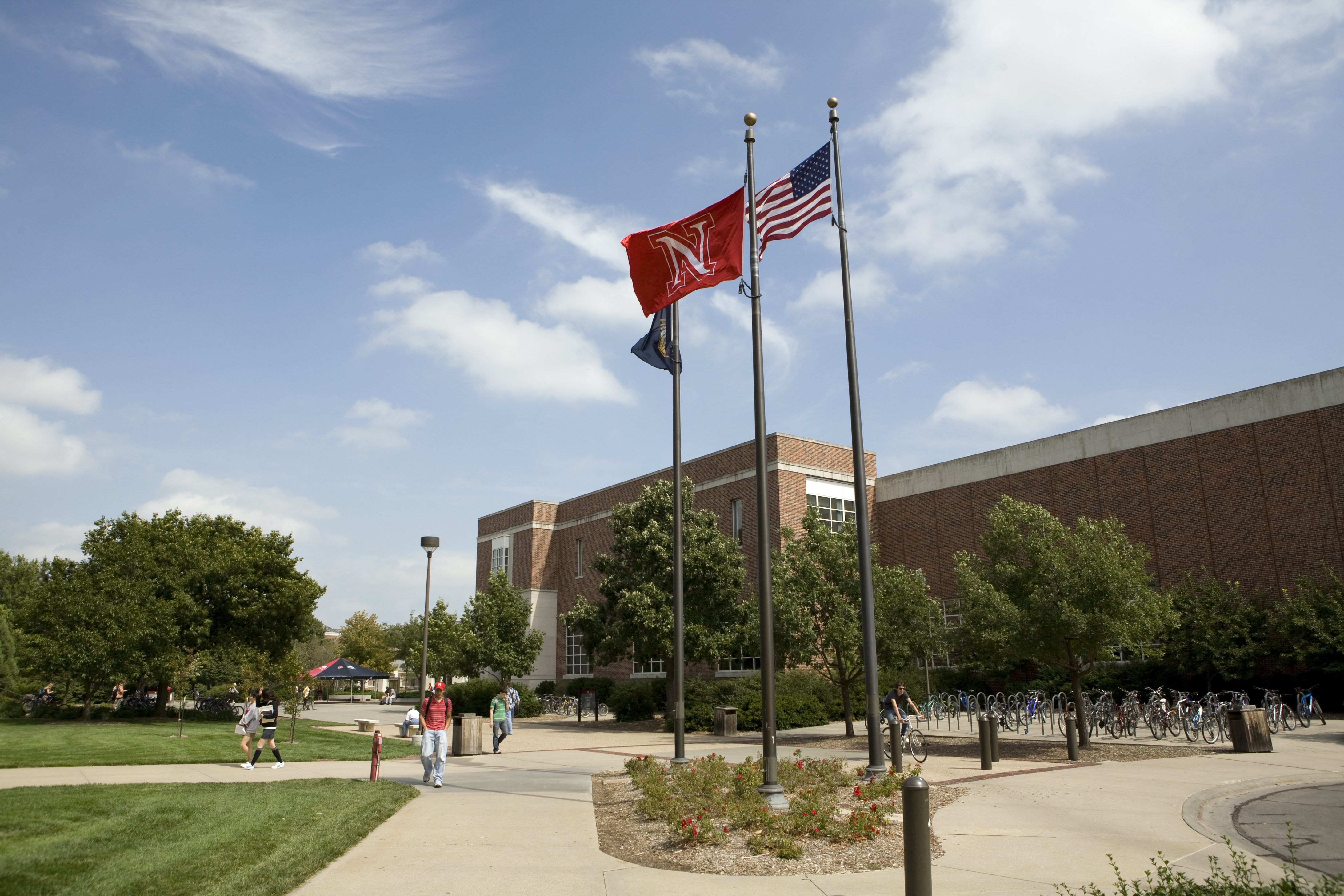 080910_flagpole